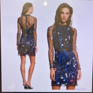 Ryse the label embroidered mini dress
